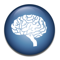 3D Analyse von Gehirnregionen & Plaque Analyse bei Alzheimer.